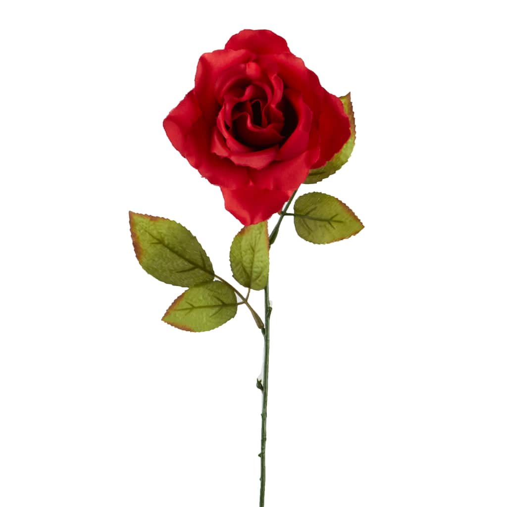 12 Pack: Open Red Rose Petal Stem by Ashland® | Michaels